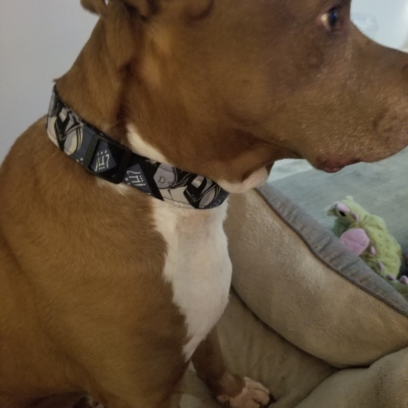 Starwars custom adjustable dog collars xs-xl - Picture 5 of 5